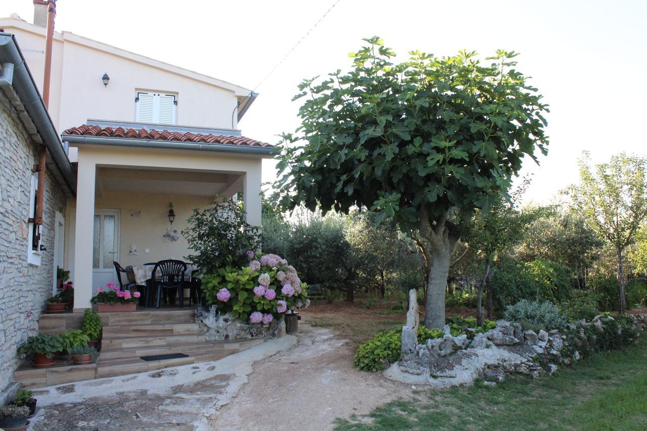 Haus Glavani Barban Екстериор снимка